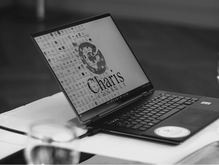 Business Consultation image